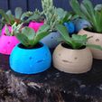 2.jpg STL file Happy Planters・3D print object to download