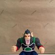 IMG_4006.jpg DragonBall Z - Monkey - Oozaru - Multiparts - Multicolor