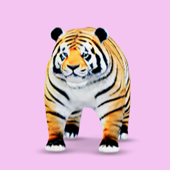 afbeelding_2023-11-30_132913580.png Pandabär