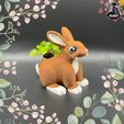 IMG_35872.jpg Cute Bunny Planter 🐇🪴