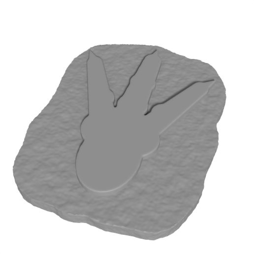 T Rex Footprint Fossil Track Cast Replica