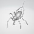 s03.jpg Spider (Friendly)