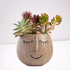 Mesa-de-trabajo-140-removebg-preview.png Free STL file Happy potted Happy potted・3D print design to download