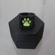 Capture d’écran 2016-11-29 à 10.29.39.png STL-Datei Chat Noir's Ring kostenlos・3D-druckbares Objekt zum herunterladen