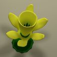 Scene_jonquille_complet_1.jpg Small daffodil