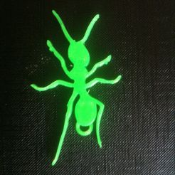 CERN Sk An SOARES : SERS ay NA Archivo 3D gratuito Llavero de hormigas・Design para impresora 3D para descargar