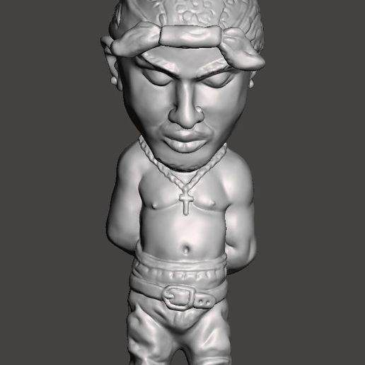 03.jpg 2 Pac Mini