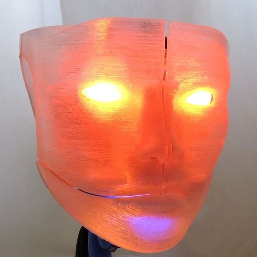 face_display_large.jpg Animated Humanoid Robot Head