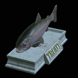 Rainbow-trout-statue-22.png fish rainbow trout / Oncorhynchus mykiss open mouth statue detailed texture for 3d printing