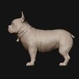 03.jpg French Bulldog model 3D print model
