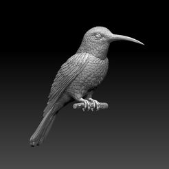 768678567.jpg Fichier STL modèle d'impression 3D d'un oiseau colibri・Plan pour impression 3D à télécharger