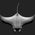 04_manta-ray-mantas-3d-print-aquarium-3d-model-7f1605c6f0.jpg Manta Ray - Mantas - 3D Print - Aquarium