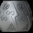 frente.jpg Harry Potter flower pot