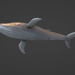 ballena.jpg whale