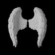 1.jpg 一对天使翅膀的雕塑 印刷模型