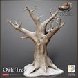 720X720-release-oak-2.jpg Oak Tree Winter/Summer versions - The Hunt