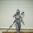 IMG_1087.JPG Momiji Dead or Alive Fan Art Statue 3d Printable