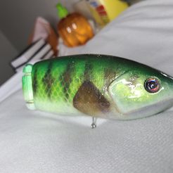 Fishing lure for Bass - Big bait, jasonthymenl