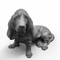 IMG-20230307-WA0006.jpg Fichier STL Chien de sang・Design imprimable en 3D à télécharger