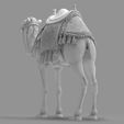 Detailed-Arabian-Camel-Saddled-Desert-Mount.85.jpg Detailed Arabian Camel - Saddled Desert Mount