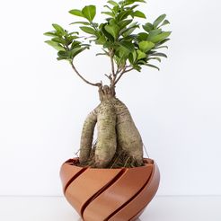 Vase_01_Bronze_03.jpg Macetero - Planter - - Jardinera impresa en 3D - 3D printed planter