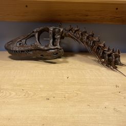 Life size baby T-rex skeleton - Part 10/10