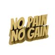 untitled.472.jpg No Pain No Gain - Motivation quotes