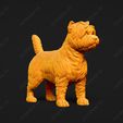 3087-Cairn_Terrier_Pose_02.jpg Cairn Terrier Dog 3D Print Model Pose 02
