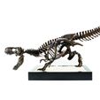zrtsfd.jpg Free STL file T-Rex Skeleton - Leo Burton Mount・3D print object to download