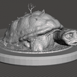 inspired_from_the_80s_movie_the_neverending_story_morla_3d_model_c4d_max_obj_fbx_ma_lwo_3ds_3dm_stl_.png Figure Inspired by the Neverending Story "The Neverending Story" Morla The Turtle