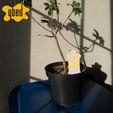 PLANT-TOMBSTONE-ACCESSORIES-by-qbed_0014.jpg 💀 MEGA PACCHETTO DI LAPIDI VEGETALI