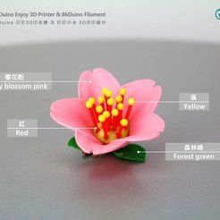 IMG_7305.jpg Archivo STL gratis Cerezos en flor / 櫻花 / 桜 / Flores / Sakura・Plan de la impresora 3D para descargar