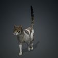 0j.jpg CAT - DOWNLOAD CAT 3d model - animated for blender-fbx-unity-maya-unreal-c4d-3ds max - 3D printing CAT CAT - POKÉMON - FELINE - LION - TIGER