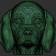 21.jpg Puppy of Beagle dog head for 3D printing