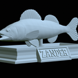 zander-statue-4-open-mouth-1-44.png fish zander / pikeperch / Sander lucioperca  open mouth statue detailed texture for 3d printing