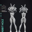 rabbit-hole-6.jpg Rabbit Hole - Fan Art - 3d Printable Model Free 3D print model