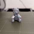 flexi bear