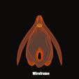 clitoris_wireframe.jpg Clitoris Anatomy - Resting Clitoris