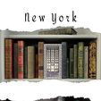 new-york.jpg Scenic Library 2022 bundle