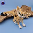 Fennec-Fox-1.jpg Renard fennec