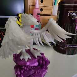 Flexi Print-in-Place Phoenix