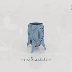 vase_stromboide_present01.jpg STL file Stromboid Vase・3D printing design to download