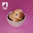 5.jpg Capybara Kaffee / Capybara Kaffee #001