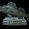 zander-open-mouth-tocenej.png fish zander / pikeperch / Sander lucioperca trophy statue detailed texture for 3d printing