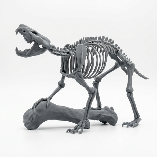 Gobiconodon Full Body 3D Printable Model - 1:5 Scale
