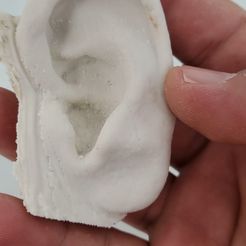 IMG-20230123-WA0003.jpg STL file Human Ear 4・Design to download and 3D print