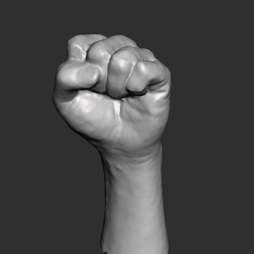 Autodesk Meshmixer - puno.mix 06_10_2020 11_11_20 p. m. (2).png Poing de la main