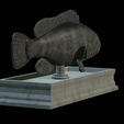 White-grouper-statue-13.png fish white grouper / Epinephelus aeneus statue detailed texture for 3d printing