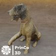 figura-perro-escaner-3d-3.jpg 3D Scanner Dog Figure / Asset Dog Figure