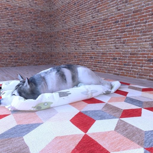 DOG husky - 3D model önizlemesi